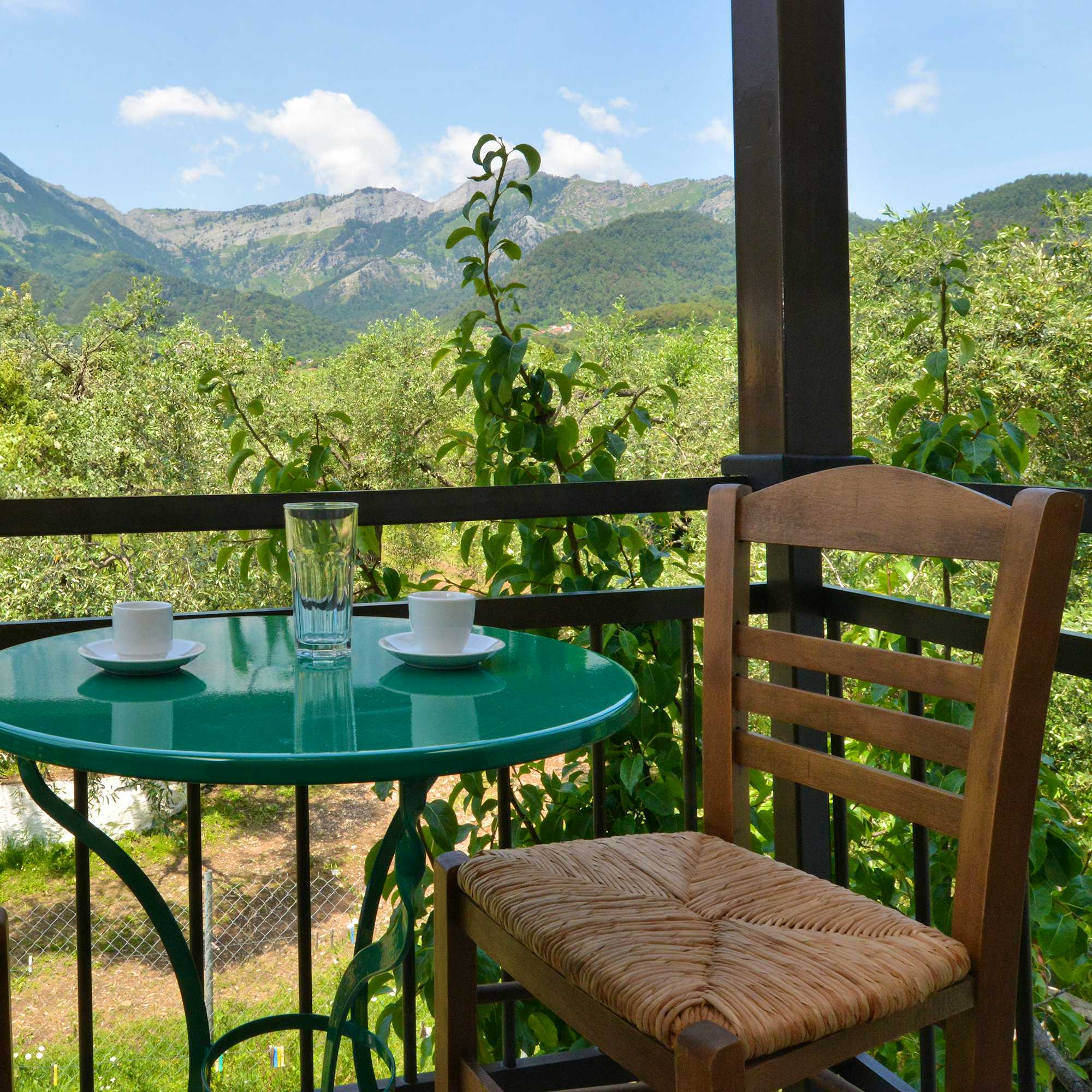 Photo Caption: Enjoy a morning coffee and nature's aromas from your balcony