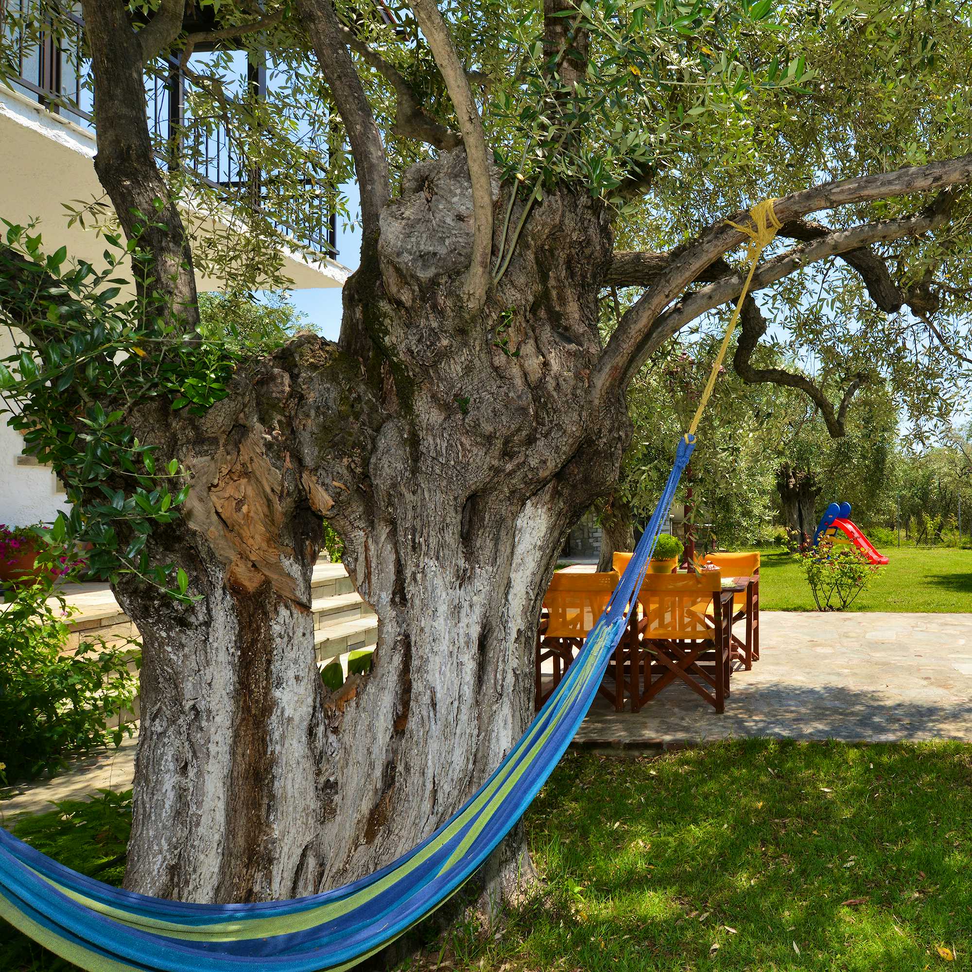 Photo Caption: Relax or take a nap underneath our ancient olive trees